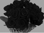 Black Romance - 18 Stems Basket